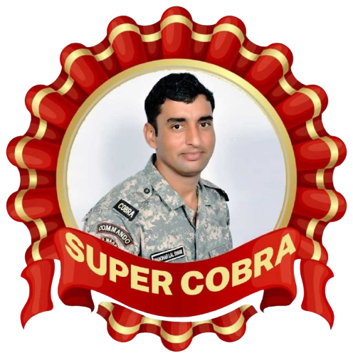 Get to Know Super Cobra